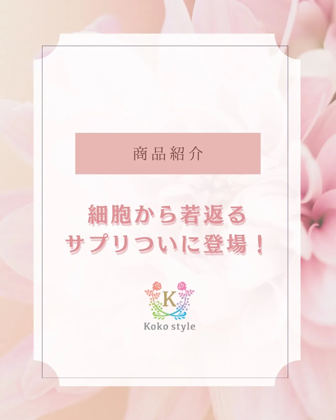 万人に飲んで欲しい‼️